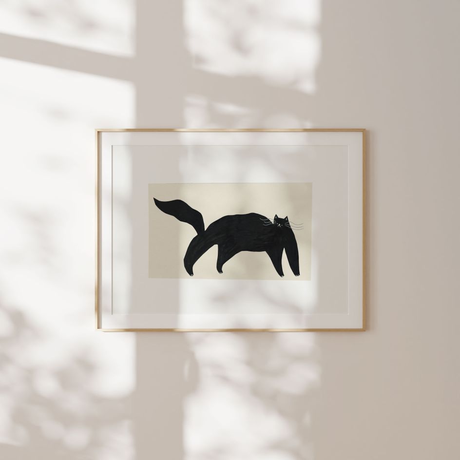 Little Black Cat